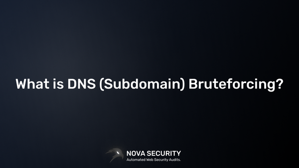 What is DNS (Subdomain) Bruteforcing?